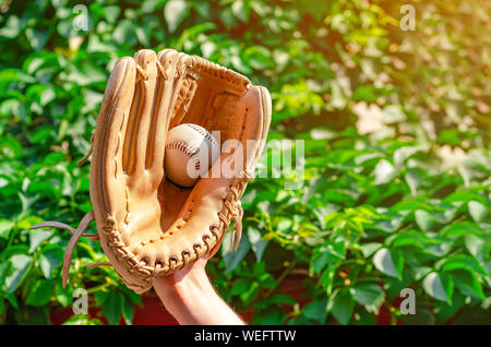 Homme de main dans un gant de baseball a attrapé une balle sur un fond vert feuilles nature. Banque D'Images