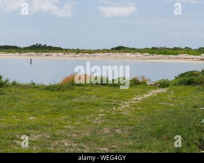 L'herbe verte et les belles plages, dans le parc national sec de Tortugas en Floride. Banque D'Images