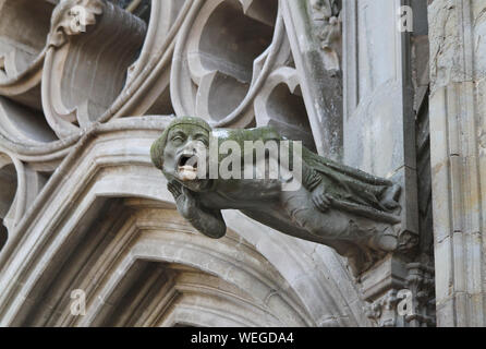 Statue de gargouille, essuyé avec mousse verte, cité médiévale de Carcassonne, la basilique des Saints Nazaire et Celse, France, Europe. Les voyageurs français Banque D'Images