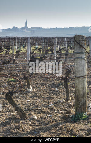 À travers les vignobles de Bourgogne (Bourgogne) vers le petit village de Saint Andelain en France. Banque D'Images