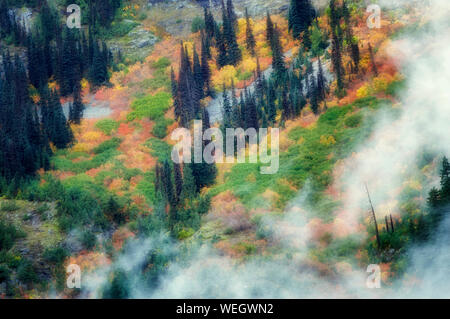 La couleur de l'automne et les nuages bas. North Cascades National Park. Washington