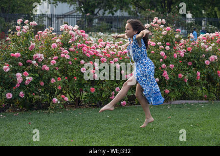 Preteen girl d'apparence asiatique faisant la gymnastique au rose garden, San Jose, Californie Banque D'Images