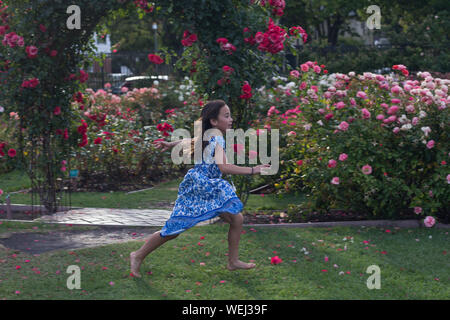 Preteen girl d'apparence asiatique faisant la gymnastique au rose garden, San Jose, Californie Banque D'Images