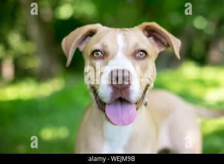 Close up of a young tan et avec une expression heureuse Banque D'Images