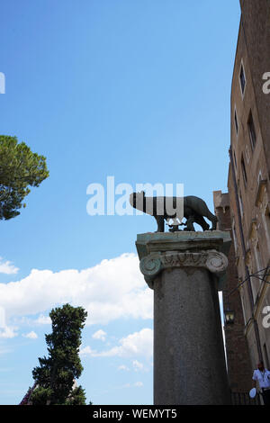 Statue de Romulus et Remus, le loup sucer à Rome, Italie Banque D'Images