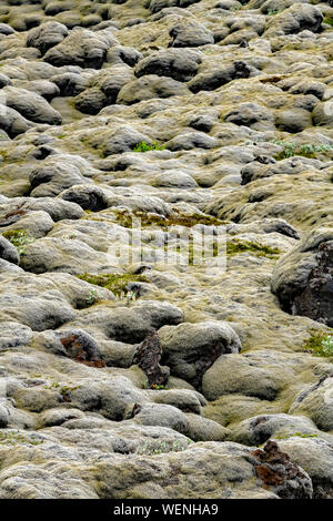 Skaftarhreppur lavafield vieux moussus et Geopark près de Kirkjubaejarklaustur, Islande Banque D'Images