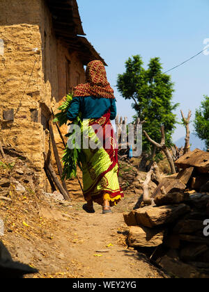 Femme indienne à Tulla Kote village, où où Jim Corbett viennent et tourné la Tallas Des maneating tigresse, collines du Kumaon, Uttarakhand, Inde Banque D'Images