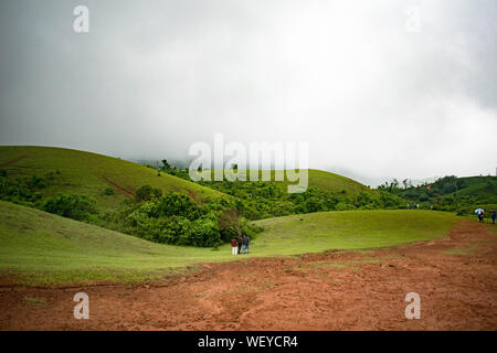 Vagamon collines qui sont célèbres dans les Ghâts occidentaux de l'Idukki, Kerala. Montagnes Vertes Banque D'Images