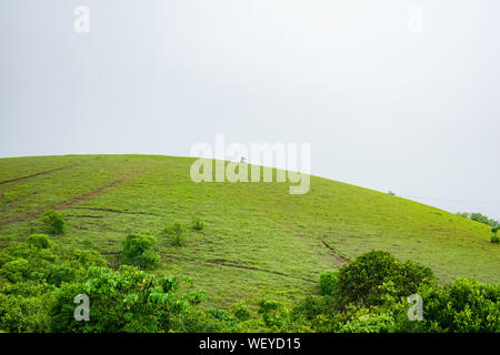 Vagamon collines qui sont célèbres dans les Ghâts occidentaux de l'Idukki, Kerala. Montagnes Vertes Banque D'Images