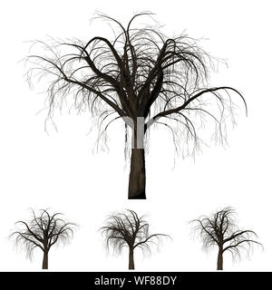 Arbre branche arrière-plan. 3D Illustration. Fond blanc isoler. Nature et Jardins design. Banque D'Images