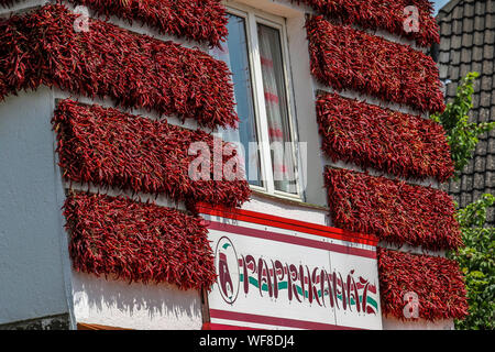 Lac Balaton, Hongrie le 03 août 2019 Credit Ilona Barna, BIPHOTONEWS, Alamy Banque D'Images