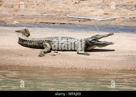 De la Crocodile Bank de sable à rivière Kunene, Namibie, Epupa Banque D'Images