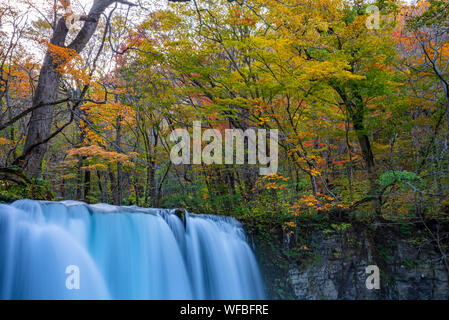 Choshi Otaki Falls ( Oirase Stream ) en journée ensoleillée, belle scène d'automne couleurs d'automne. Forêt, rivière qui coule, les feuilles tombées, les roches moussues Banque D'Images