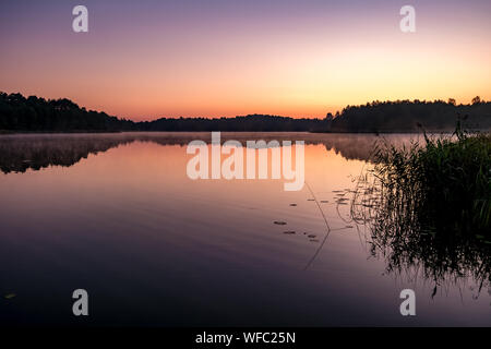 Panorama sur l'immense lac ou rivière en matinée avec de belles roses magnifique lever du soleil Banque D'Images