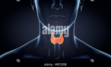Illustration 3D pour la santé de la glande thyroïde d'un homme, médicalement illustration sur fond noir Banque D'Images