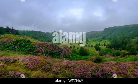 Watendlath, UK - 14 août 2019 : Ciel couvert et bruine vues en août de l'Wastendlath Hameau du National Trust, près de Keswick, Lake District National Banque D'Images