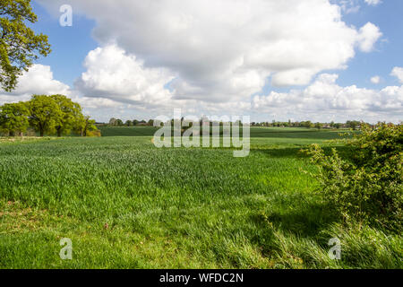 St John the Baptist Church, peu Maplestead, Essex, UK Banque D'Images