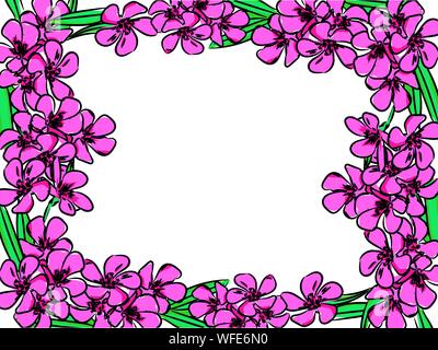 Pink floral background. Vector illustration. Isolé sur fond blanc Illustration de Vecteur