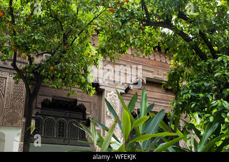 Maroc Marrakech, vue de la décoration à travers les orangers du Palais Bahia à cour Banque D'Images