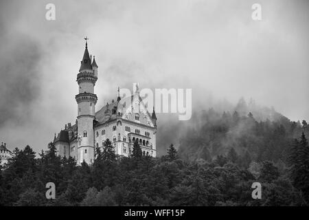 En regardant le château de Neuschwanstein (Schloss Neuschwanstein) de la ville en contrebas, entouré de brouillard et d'arbres en noir et blanc Banque D'Images