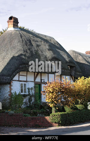 Chaumières sur la High Street, Selborne, Hampshire, Royaume-Uni Banque D'Images