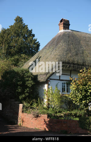 Chaumière sur la High Street, Selborne, Hampshire, Royaume-Uni Banque D'Images