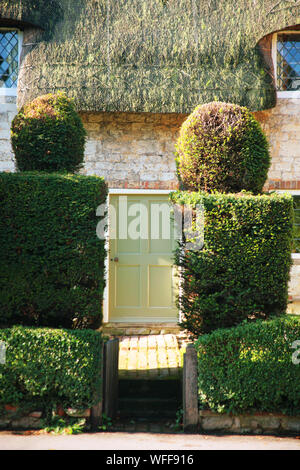 Haie topiaire flancs devant la porte d'une chaumière sur la High Street, Selborne, Hampshire Banque D'Images