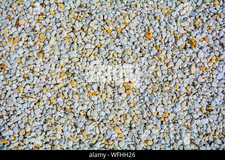 Petit caillou blanc et jaune arrière-plan. Vue de dessus du gravier blanc et jaune texture pierre Banque D'Images