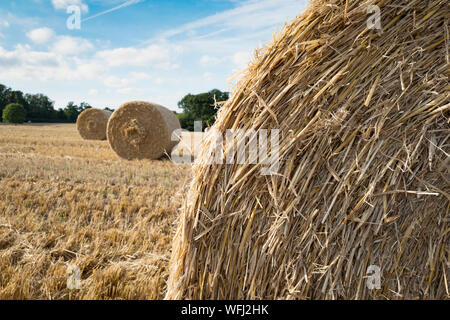 Harvest time round bottes de foin dans un champ Hampshire Banque D'Images