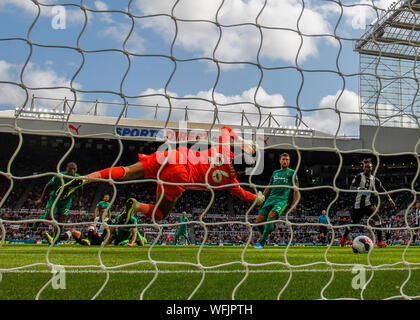 31 août 2019, à Saint James Park, Newcastle, Tyne et Wear, Angleterre ; English Premier League, Newcastle United contre Watford Football Club ; Ben Foster de Watford est battu par le tir de Fabian Schar de Newcastle United à la 41e minute pour le rendre 1-1 - strictement usage éditorial uniquement. Pas d'utilisation non autorisée avec l'audio, vidéo, données, listes de luminaire, club ou la Ligue de logos ou services 'live'. En ligne De-match utilisation limitée à 120 images, aucune émulation. Aucune utilisation de pari, de jeux ou d'un club ou la ligue/dvd publications Banque D'Images