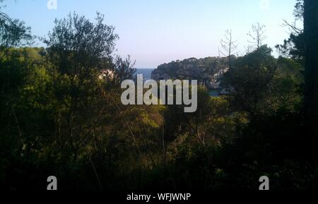 À travers la forêt de pins, vous pouvez voir la Cala Macarella dans citadelle sur l'île de Minorque. Le 5 juillet 2012. Minorque, Iles Baléares, Espagne, Europe. Billet d Banque D'Images