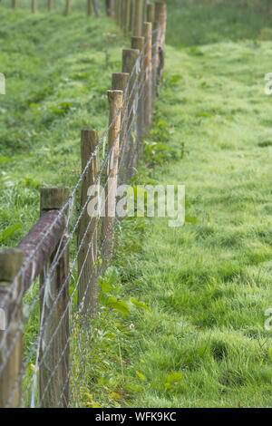 Clôture de ferme / clôture de bétail hors champ. Mélange le fil barbelé et le filet d'acier lisse. Barrière, entrée, mouvement restreint, maintenir le concept de ligne Banque D'Images