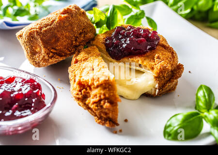 Le camembert ou le brie frit avec de la confiture de canneberges et basilic Banque D'Images