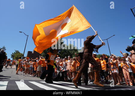 31 août 2019 : le Tennessee mascot porte le drapeau Tennessee avant la NCAA football match entre l'Université du Tennessee bénévoles et le Georgia State Panthers à Knoxville, TN/CSM Gangloff Tim Banque D'Images