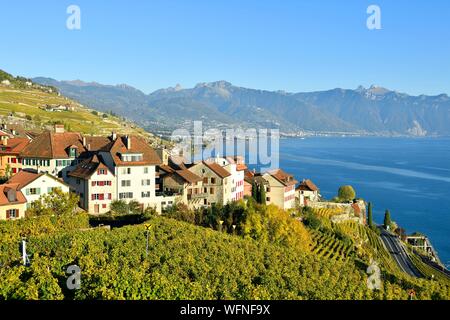 La Suisse, Canton de Vaud, terrasses de Lavaux inscrite au Patrimoine Mondial de l'UNESCO, il s'étend de Montreux à Lausanne le 32km le long du lac Léman et de 850ha, le village de Rivaz et la ville de Montreux dans l'arrière-plan Banque D'Images