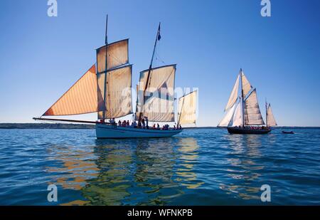 La France, Finistère, Brest, LA GRANVILLAISE - LE LYS NOIR - France - International Maritime Brest 2016 Festival Banque D'Images