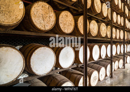 Étagères avec du rhum de barils en chêne Banque D'Images