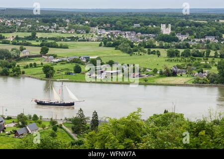 France, Seine Maritime, Hauville, Armada 2019, portrait de l'Wylde Swan, deux mâts topsail schooner, navigation sur la Seine, en face de l'abbaye de Jumièges Banque D'Images