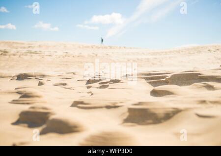 Le Danemark, le Nord du Jutland, Råbjerg Mile est un mobile dune côtière située entre Skagen et Frederikshavn, c'est la plus grande dune mobile dans le Nord de l'Europe avec une superficie de 1 km carrés pour une hauteur maximale de 40 m, la dune continue à migrer de l'est au nord-est vers le Kattegat à un taux de plus de 15 M$ par année Banque D'Images