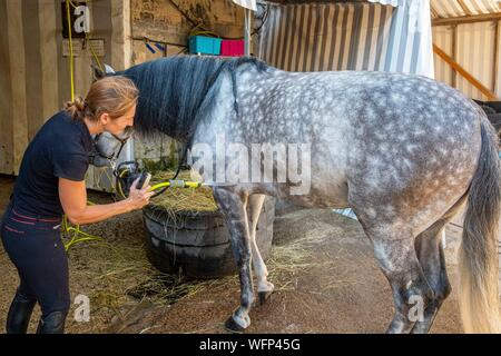 France, Oise, Chantilly, Château de Chantilly, Les Grandes Ecuries, cavalière cheval nettoyage après la formation Banque D'Images