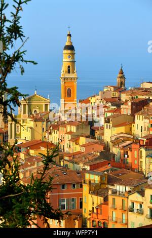 France, Alpes Maritimes, Menton, la vieille ville dominée par la basilique Saint Michel Archange Banque D'Images