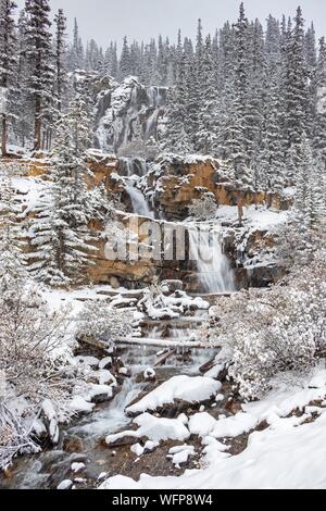 Le Canada, l'Alberta, Rocheuses canadiennes inscrites au Patrimoine de l'UNESCO, le Parc National Jasper, promenade des Glaciers, cascades Tangle Creek en hiver Banque D'Images