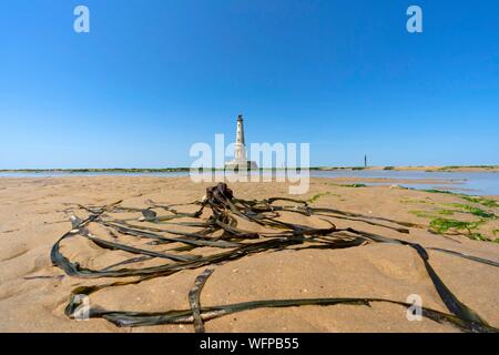 France, Gironde, le Verdon-sur-Mer, plateau rocheux de Cordouan, phare de Cordouan, classé Monuments Historique, vue générale Banque D'Images