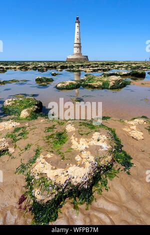 France, Gironde, le Verdon-sur-Mer, plateau rocheux de Cordouan, phare de Cordouan, classé Monuments Historique, vue générale Banque D'Images