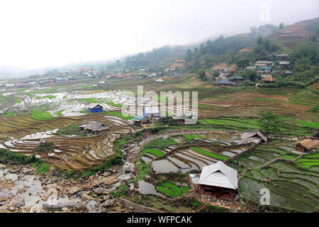 Voir plus Sapa paysage avec rizières et maisons. La plantation de plants de riz en terrasse rizière au Vietnam. L'agriculture et produit du riz vietnamien Banque D'Images