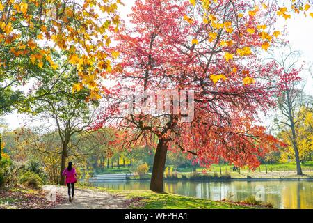 France, Paris, le Bois de Vincennes, du lac Daumesnil en automne Banque D'Images