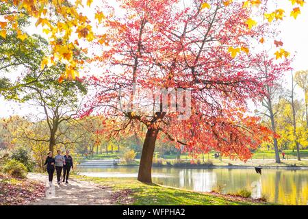 France, Paris, le Bois de Vincennes, du lac Daumesnil en automne Banque D'Images