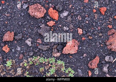 L'Italie, la Sicile, l'Etna, le Parc naturel régional de l'Etna, inscrite au Patrimoine Mondial de l'UNESCO, de la roche volcanique Banque D'Images