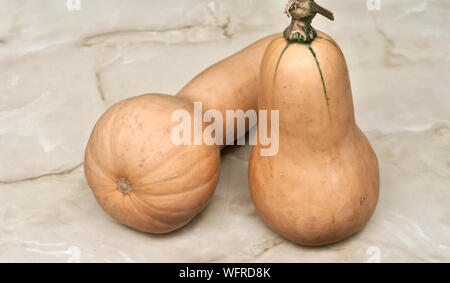 Citrouille allongée variété 'Moscada de Provenza' pour les fonds et textures Banque D'Images