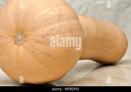 Citrouille allongée variété 'Moscada de Provenza' pour les fonds et textures Banque D'Images